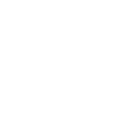 解析実行アイコン