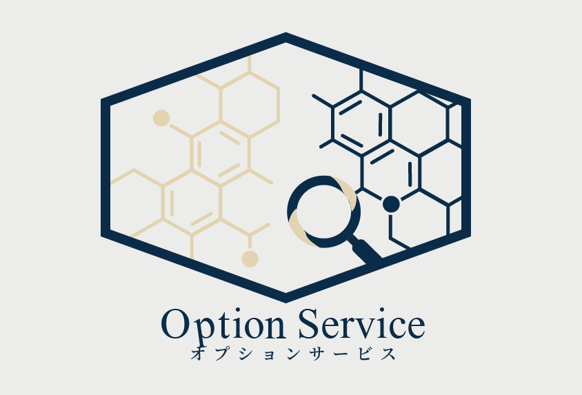 オプションサービスロゴ