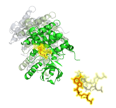 分子動力学シミュレーションのイメージ1