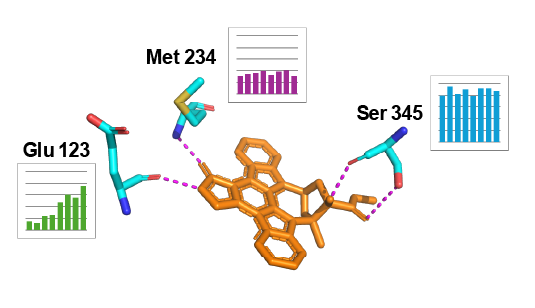 解析・レポートのイメージ