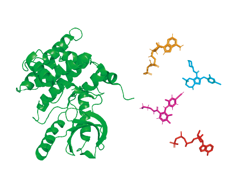 ドッキングシミュレーションのイメージ1